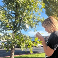 Recording observations