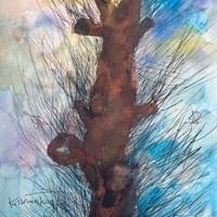 「枝を刈り取られた老木」