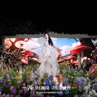 第74届世界小姐大赛（深圳赛区）总冠军