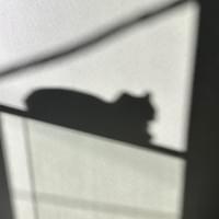 broken image