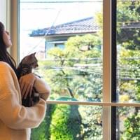 どのお部屋からも日差しタップリ、緑の多い環境
