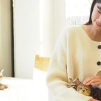 猫3匹までOK
