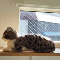 猫専用窓