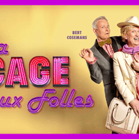 Loge 10 - La Cage aux Folles