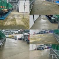Concrete Cleaning