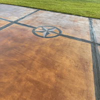 Stained Concrete Side Driveway