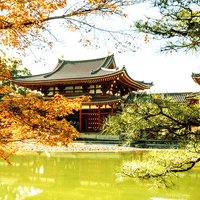 宇治的世界文化遺產【平等院】