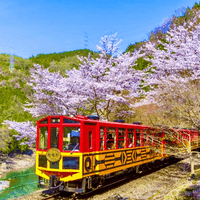 保津川「嵐山小火車」