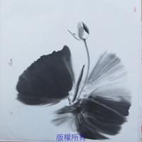 broken image