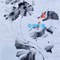 broken image