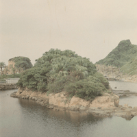 ESCURA  江戶底片 EDO ukiyo-e 400  DUMBCAM實拍