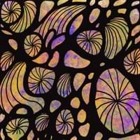 NeuroBloom