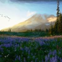 Mountainside Flowers