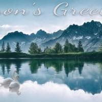 Swans season's greetings card