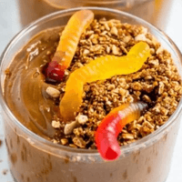 Healthy Dirt Cups