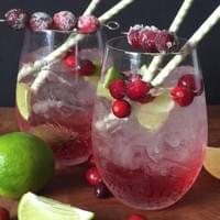 Cranberry Margarita
