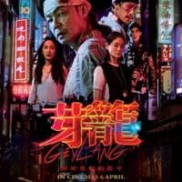 电影后期 - Geyland