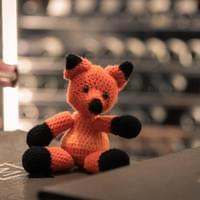 photographe reportage dijon