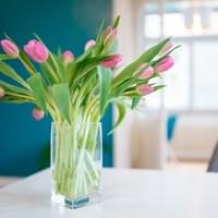 Instagram- und Social-Media-Marketing für Selbstständige und KMU mit Nicole Stadler in Zürich