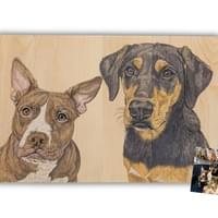 Pet Portrait - Z Girls