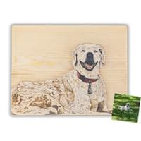 Pet Portrait - Smile!