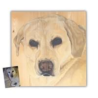 Pet Portrait - Danka