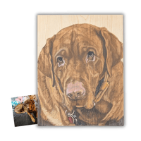Pet Portrait - Mater