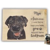 Pet Portrait - Mya Memorial