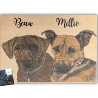 Pet Portrait - Beau + Millie