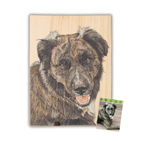 Pet Portrait - Miss Daphne