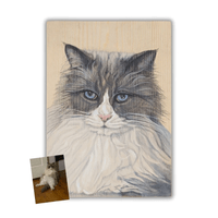 Pet Portrait - Skye Kitty