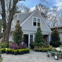 Osterville Beacon Gardens 