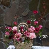 雅致60 (寬~50cm 高~55cm)