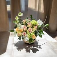 雅致50 (高~55cm 寬~50cm)