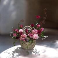 雅致60 (寬~50cm 高~55cm)