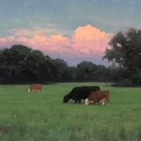 Field of Greens