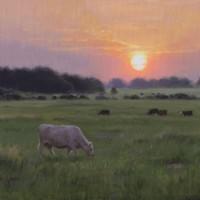 Out to Pasture