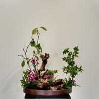 Motoko Hattori (Keika-Kazan)