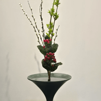 Joyce Peterson