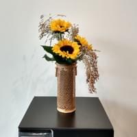 Joyce Peterson (Ohara)