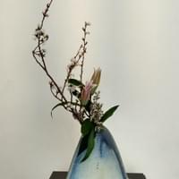 Joyce Peterson (Ohara)