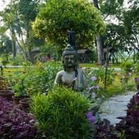 Peaceful garden