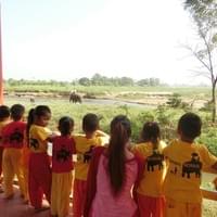 Elephant Watching