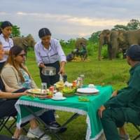 Breakfast -Elephant bushwalk