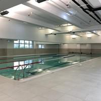 Pooi To Primary School Swimmig