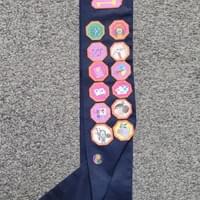 Girl Guide Sash Badges Sewn On