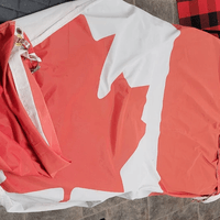 Fixing a Flag