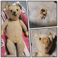 Dog eaten bear mended