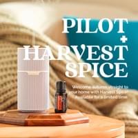 Pilot Diffuser + Harvest Spice blend bundle