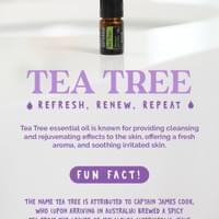 Click image for more about Tea Tree essential oil!